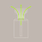 WILD PURPLE GREEN HOME PERFUME (30ml)